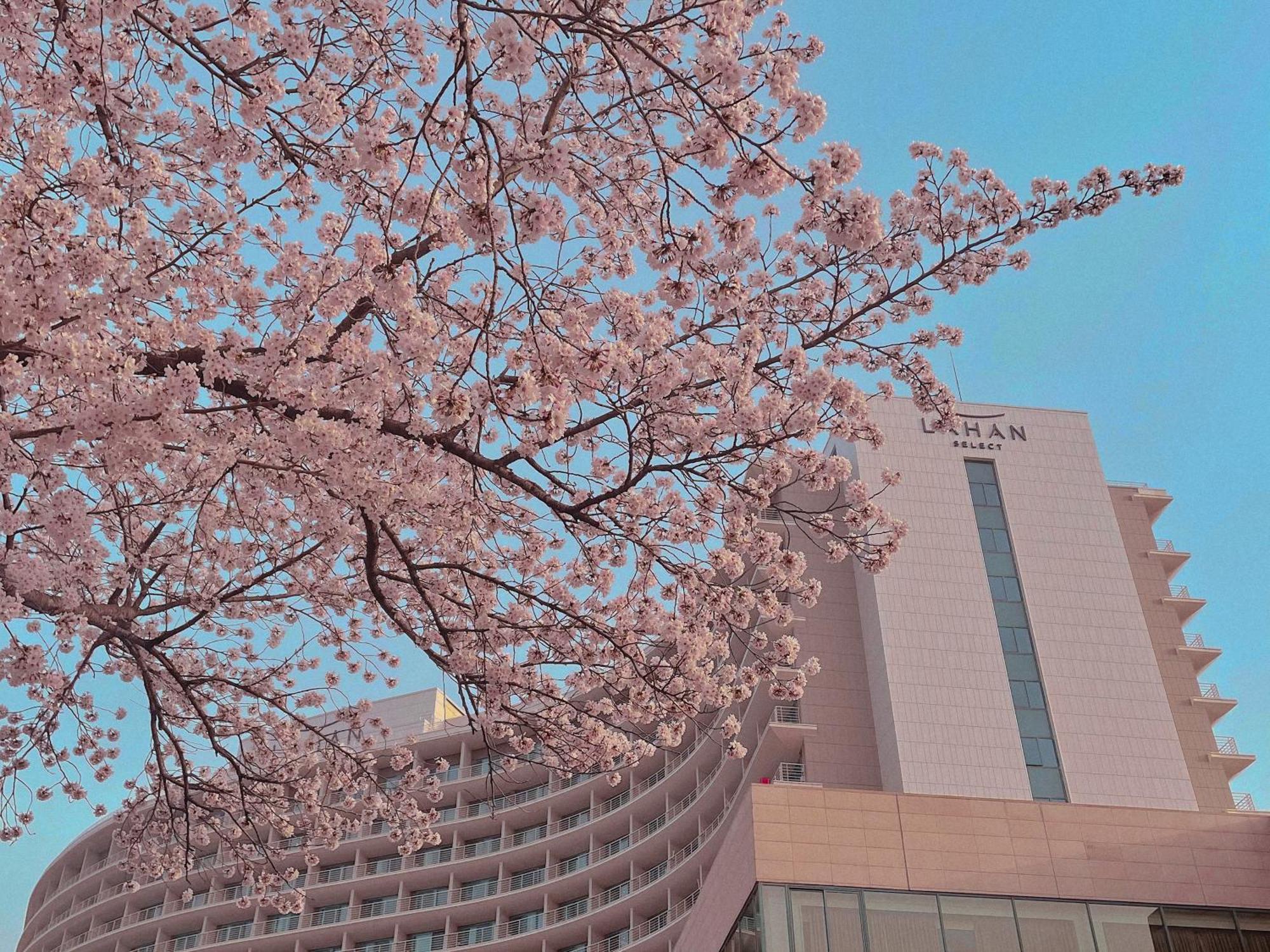 ลาฮัน ซีเล็ค คยองจู Hotel ภายนอก รูปภาพ
